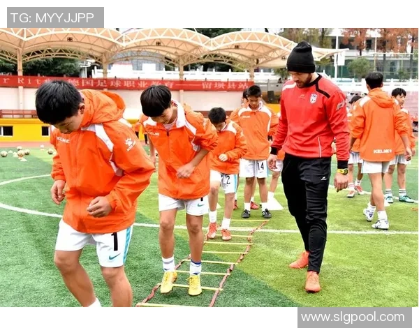 杨静独家分享篮球心得与技巧助你提升球技和战术理解