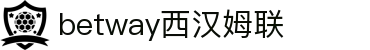 中国·必威(bw·西汉姆联)官方网站-West Ham United